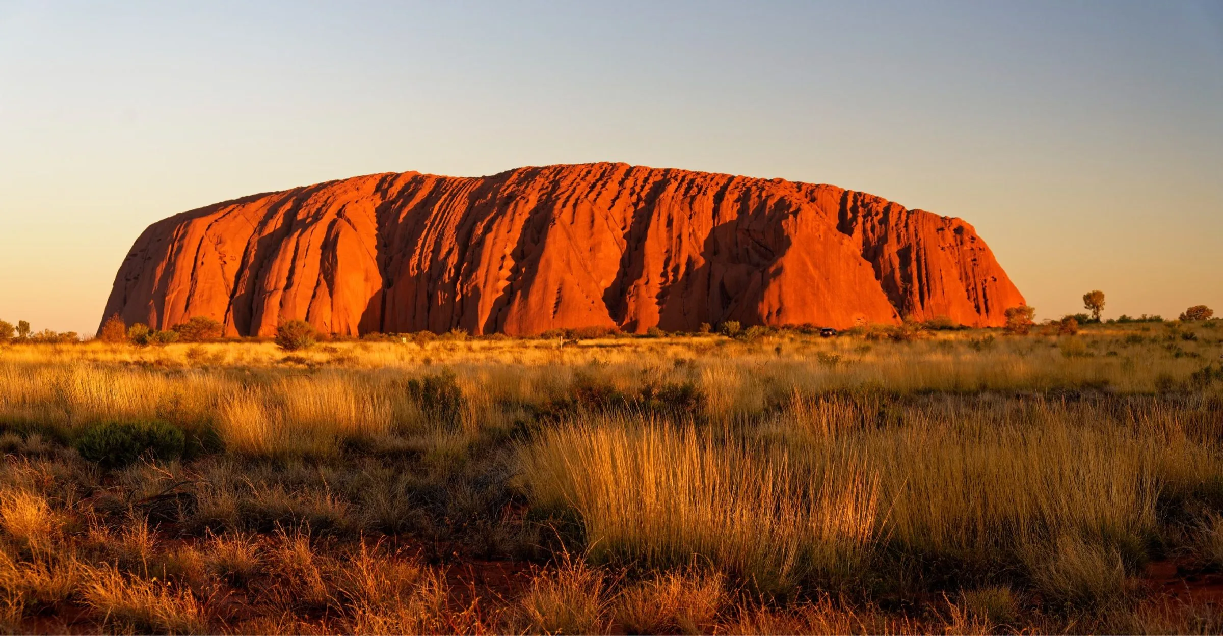 Uluru glowing red at sunset above spinifex grassland