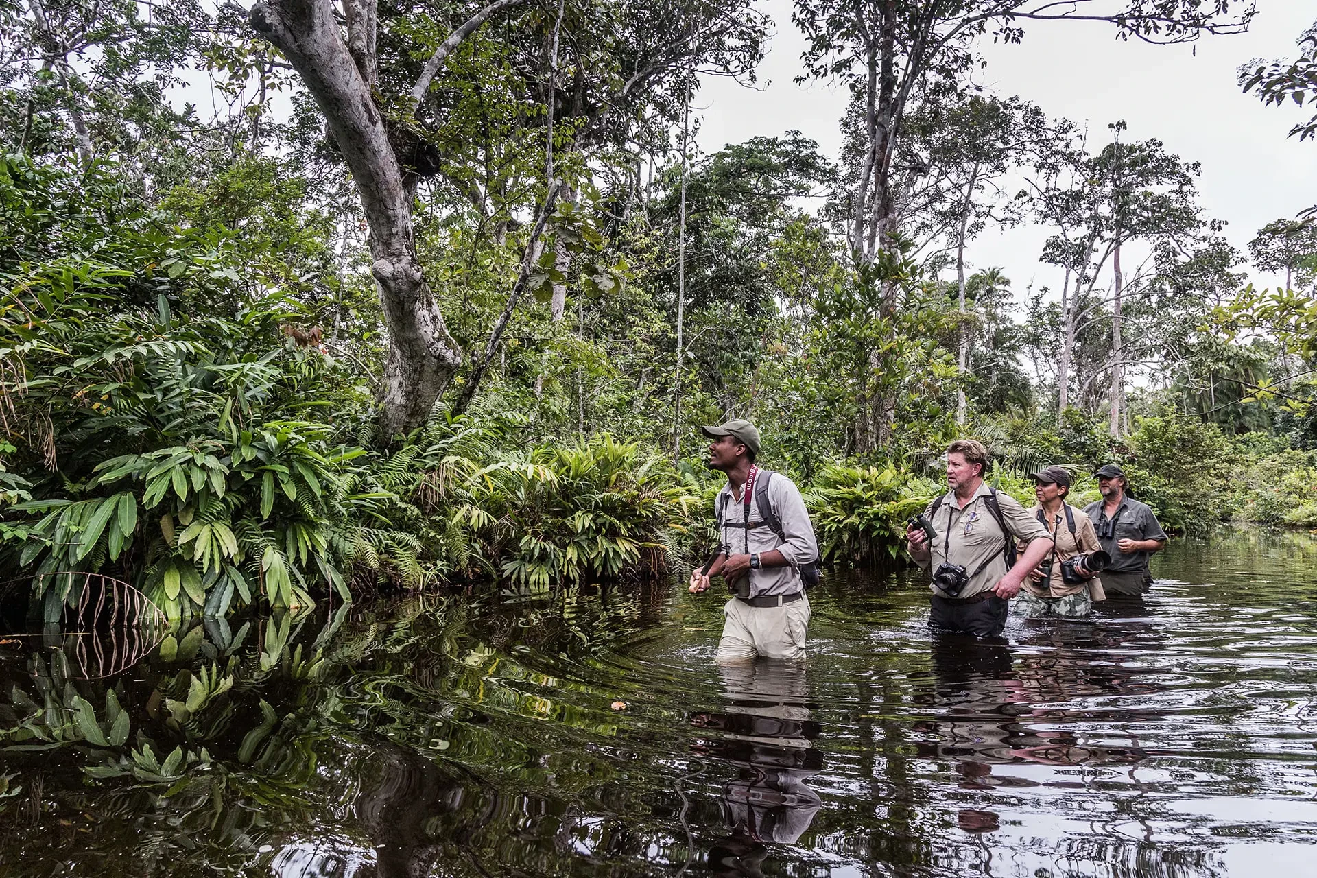 Guests wading through Lango Baï with their guide