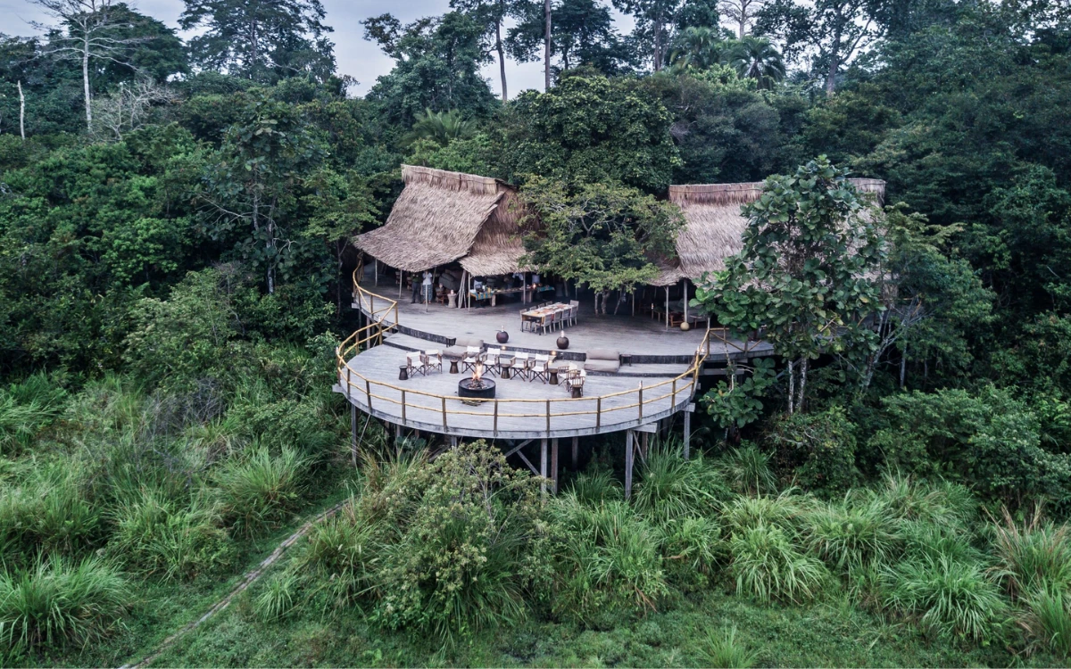 Ngaga Lodge hidden in the forest canopy