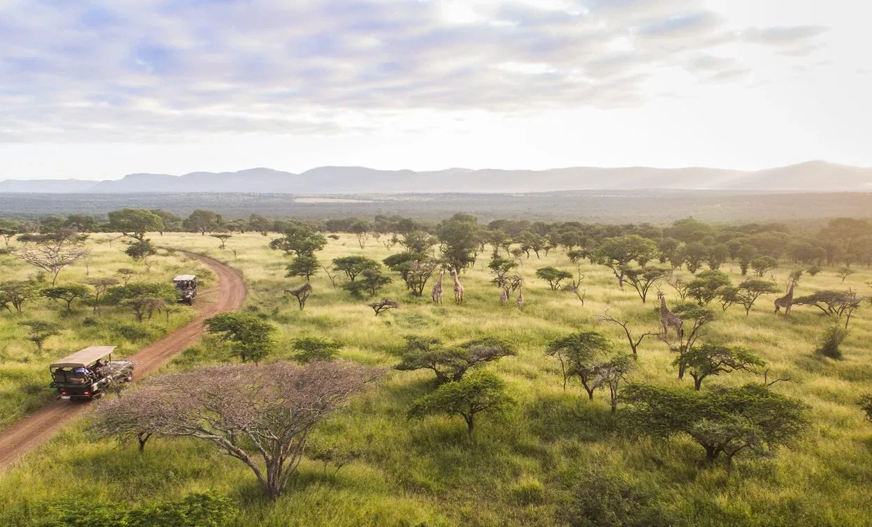 A game drive vehicle crossing the reserve.