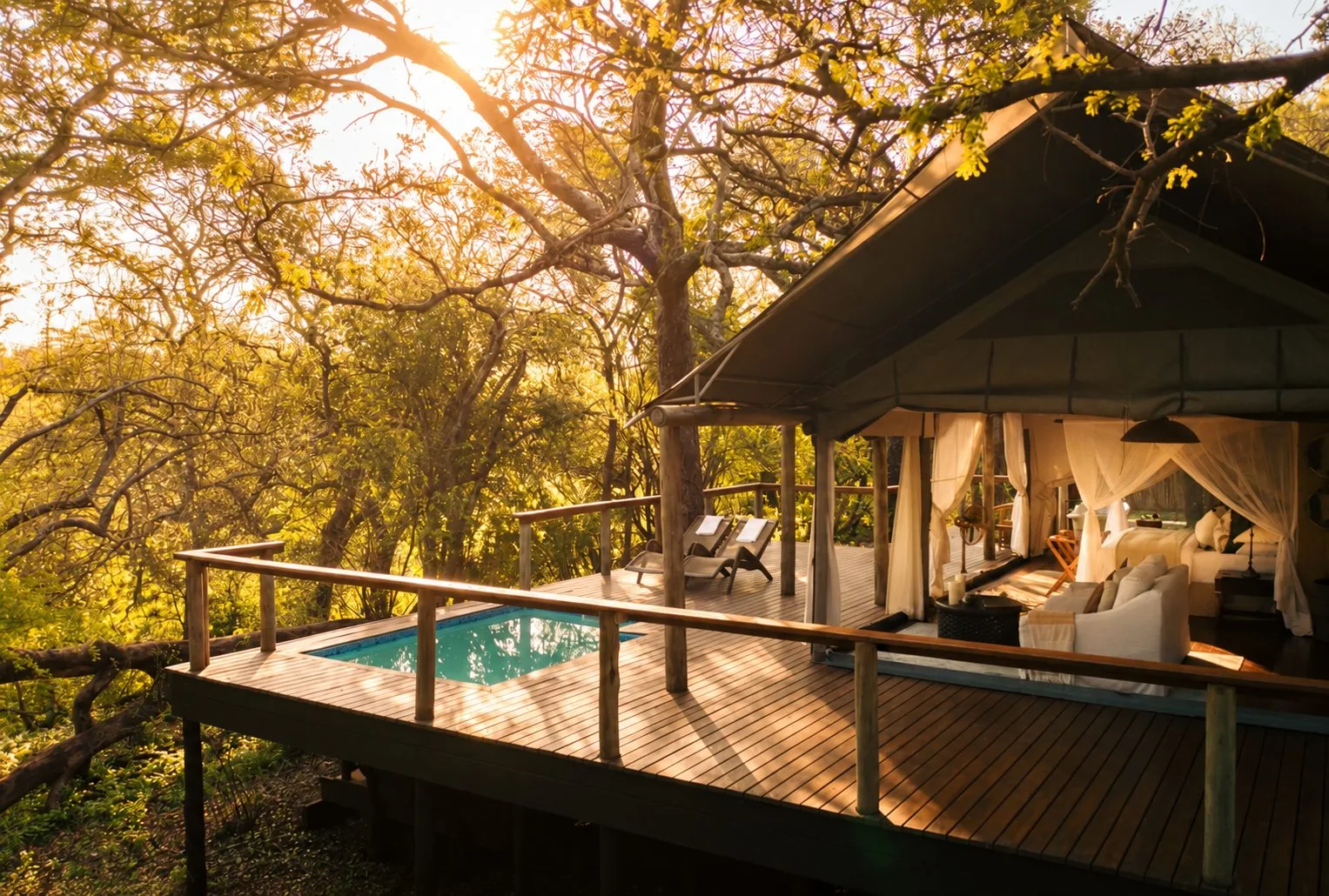 A tented suite deck and plunge pool among trees at Rhino Sands