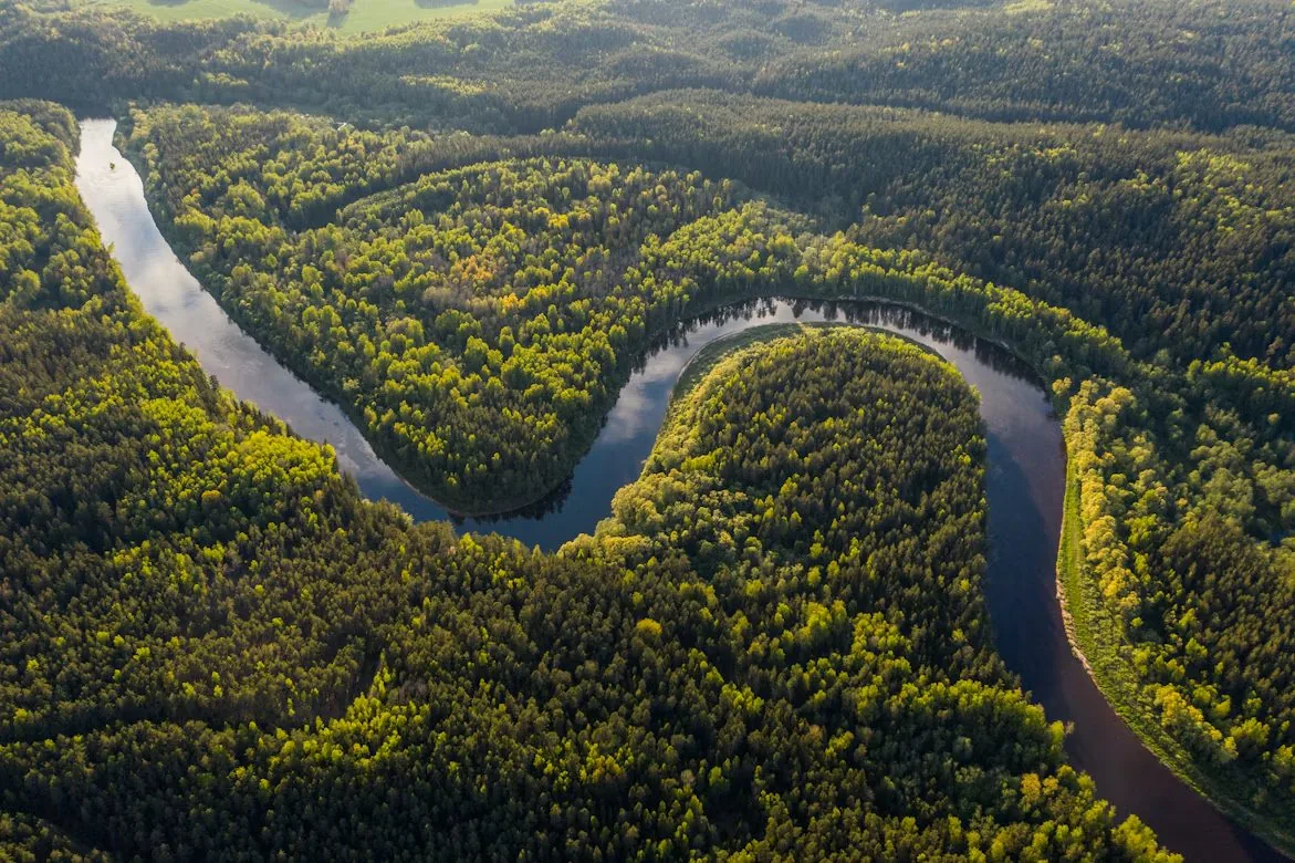 Aerial view of an Amazon tributary winding through rainforest