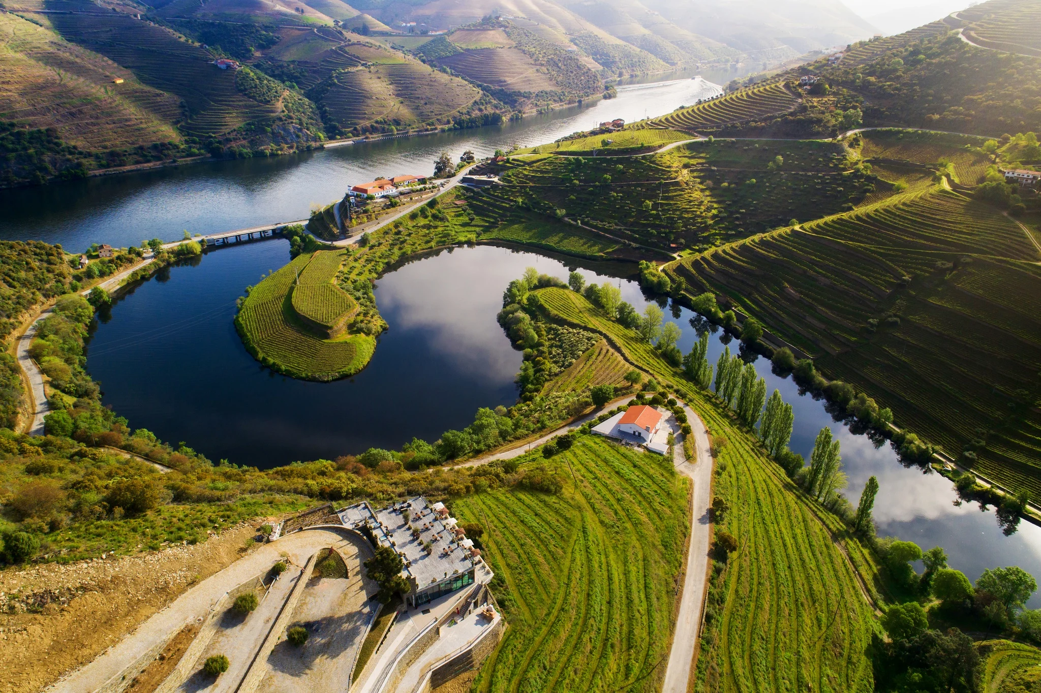 Terraced vineyards climbing the UNESCO-listed Douro hillsides