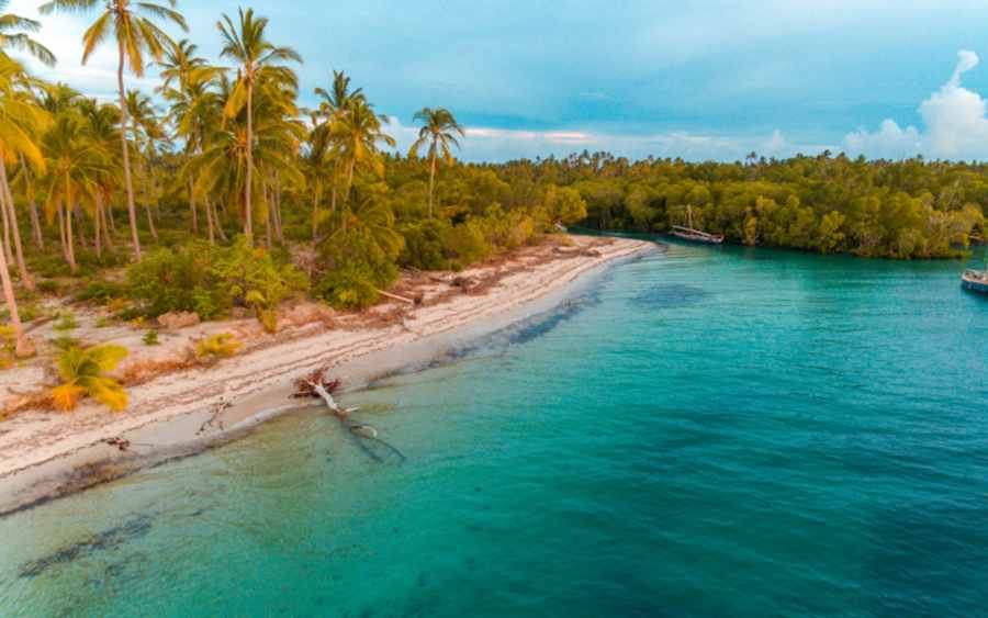 Reef and shallow water off Mafia Island, Tanzania