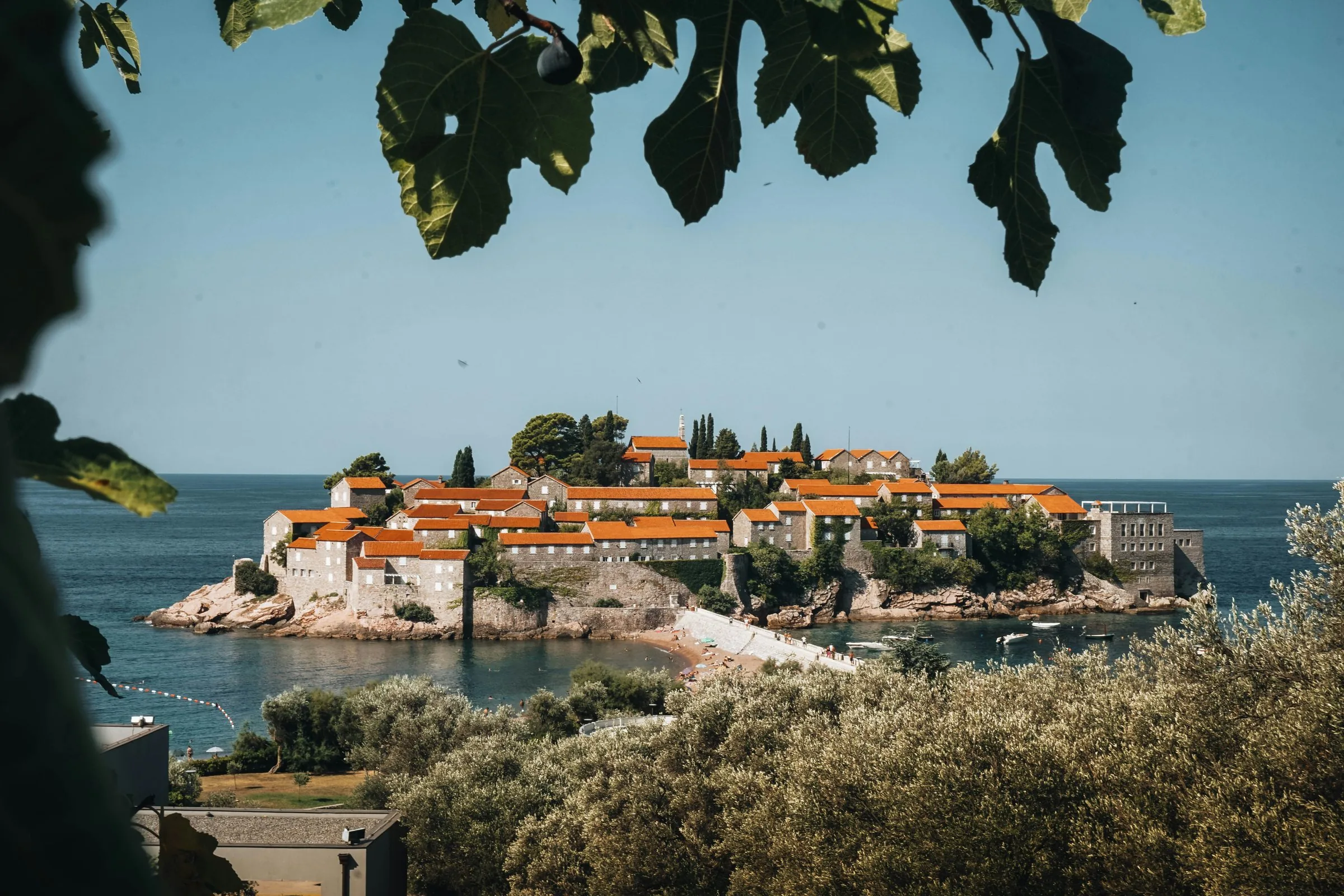 The island village of Sveti Stefan on Montenegro’s Adriatic coast, seen through fig leaves