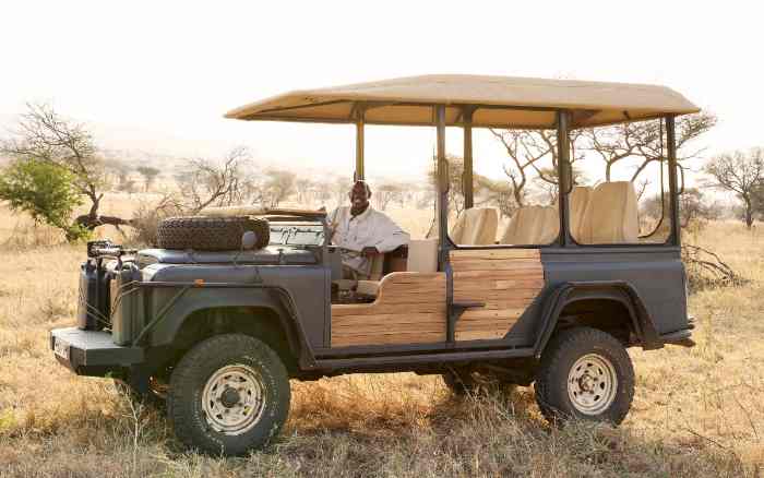 Guiding on the plains, central Serengeti